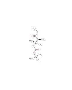 Astatech (S)-METHYL 2-AMINO-3-(TERT-BUTOXYCARBONYLAMINO)-3-METHYLBUTANOATE; 1G; Purity 95%; MDL-MFCD16293742